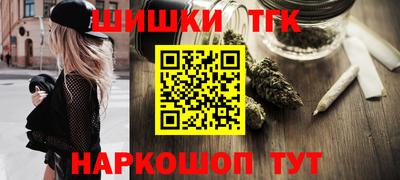 тгк Бийск