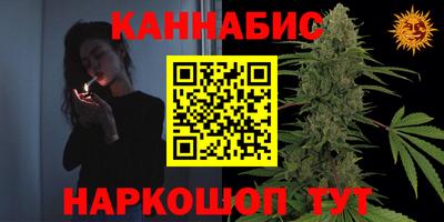 тгк Бийск