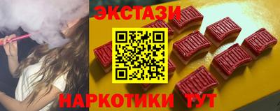 тгк Бийск