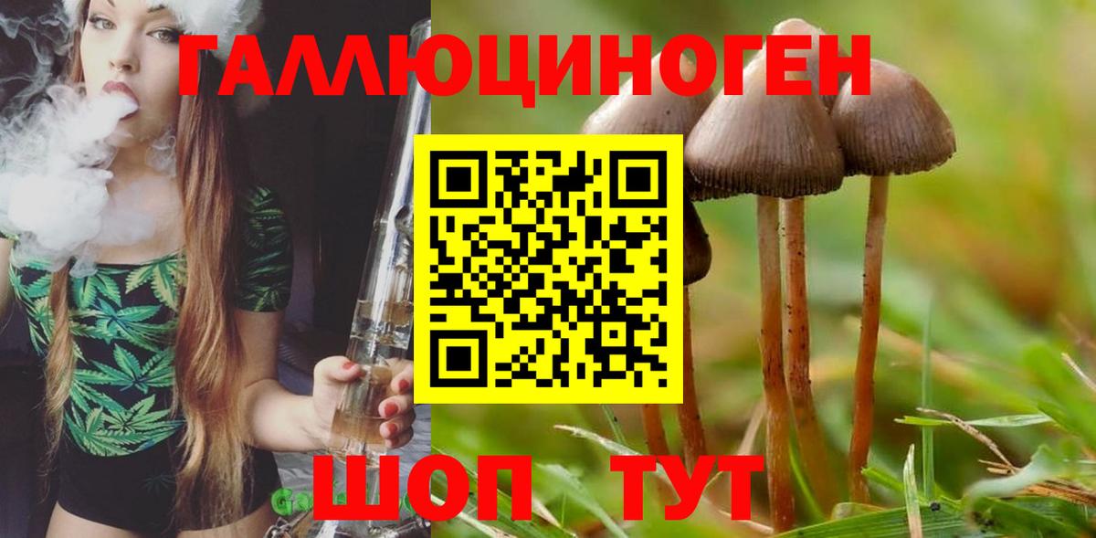 Галлюциногенные грибы мицелий Киселёвск