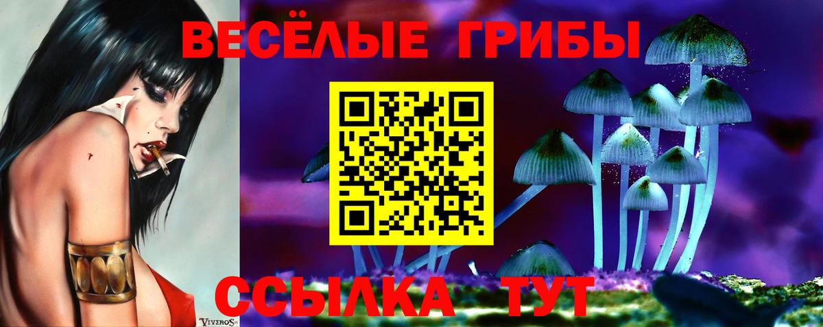 Галлюциногенные грибы Magic Shrooms  Галлюциногенные грибы прущие грибы  Киселёвск  Вход с VPN 